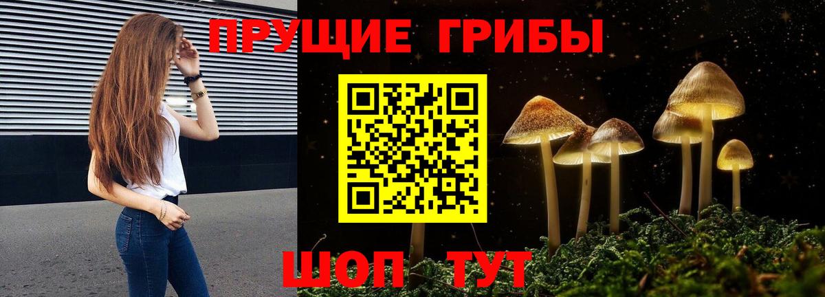 Галлюциногенные грибы мухоморы Кострома