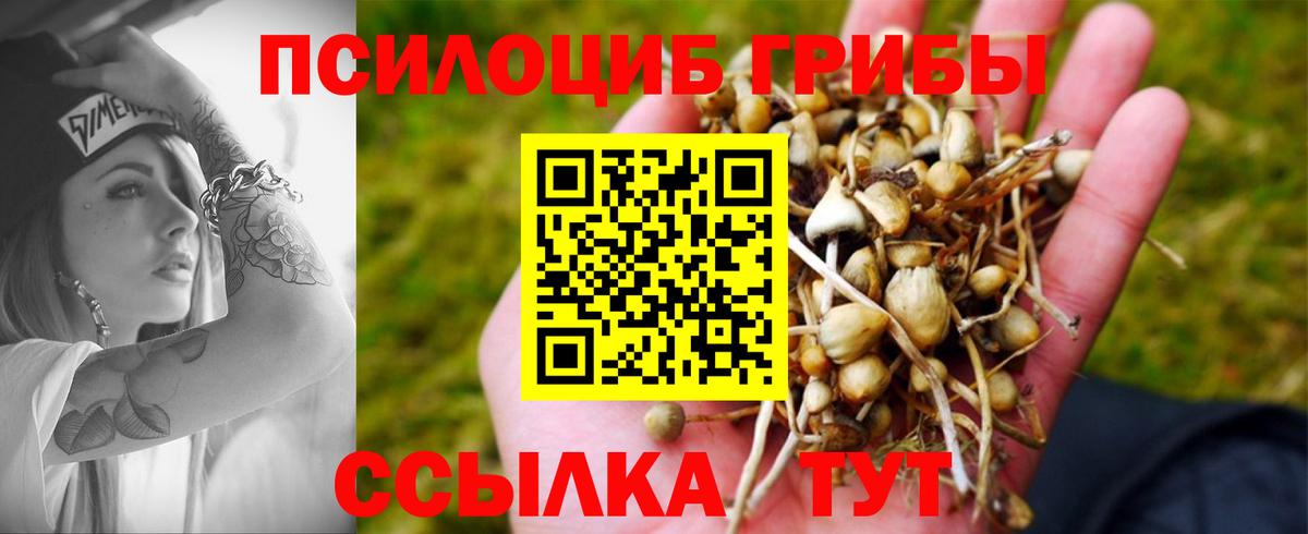 Псилоцибиновые грибы Psilocybine cubensis  Вход с VPN  как найти наркотики  Кострома  Псилоцибиновые грибы Psilocybe 